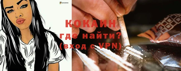 дмт Абаза